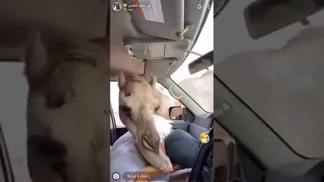 Прикололись над другом смотреть онлайн