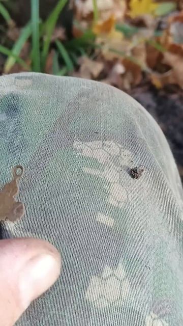 Что можно найти около машины с металлоискателем xp orx ? ? смотреть онлайн