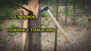 Новинка томагавк Сверчок, первые открытые тесты.