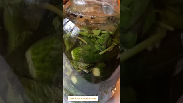 ОГУРЦЫ МАЛОСОЛЬНЫЕ, ХРУСТЯЩИЕ СО СНЫТЬЮ ДЛЯ УЛУЧШЕНИЯ РАБОТЫ ЖКТ