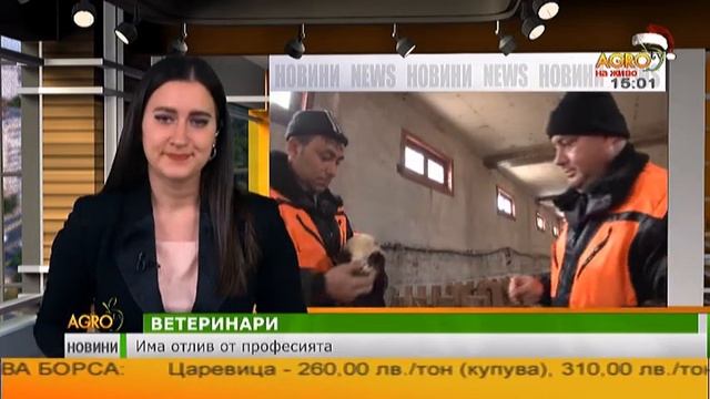 Открито е първично огнище на инфлуенца в община Елхово смотреть онлайн