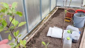 Встретили гостей .