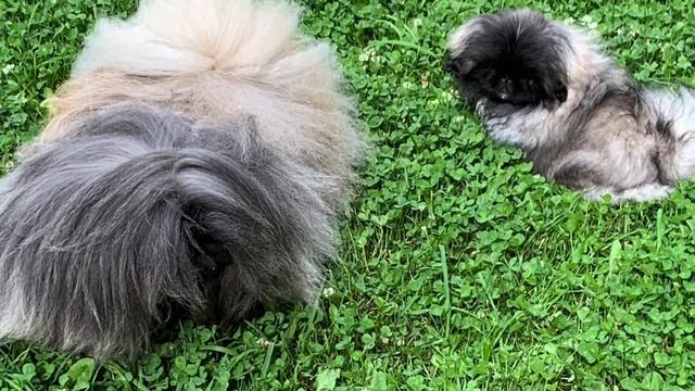 ДРУЗЬЯ & friends ❤️ смотреть онлайн