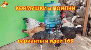 Кормушки и поилки для кур своими руками (163) 🪚✂️ Пошаговая инструкция как сделать 🐔 🐓❣️
