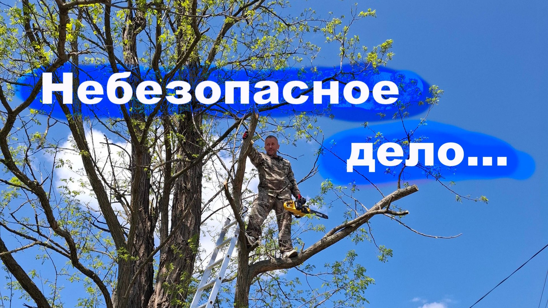 #255 Валим деревья на второй усадьбе... смотреть онлайн