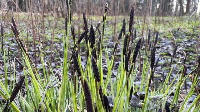 Минута № 68. Смотри и отдыхай.