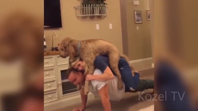 Приколы под музыку - Лучшие КУБ Приколы Июнь 2017 - Kozel TV смотреть онлайн