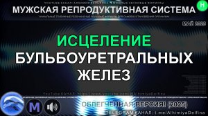 🌟🌱 СТОП ДИСКОМФОРТУ! ✨ Скрытая Энергия Бульбоуретральных Желез: Очищение и Оздоровление