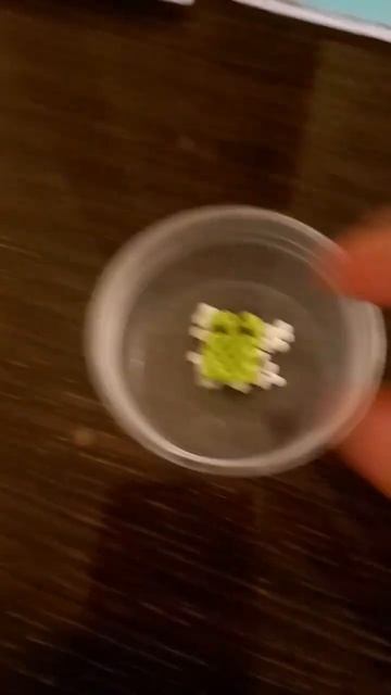 лягушка с крыльями 💓#drawing#diy#shorts#бисер #воздушныйпластилин#амигурумиизбисера#art#journal смотреть онлайн