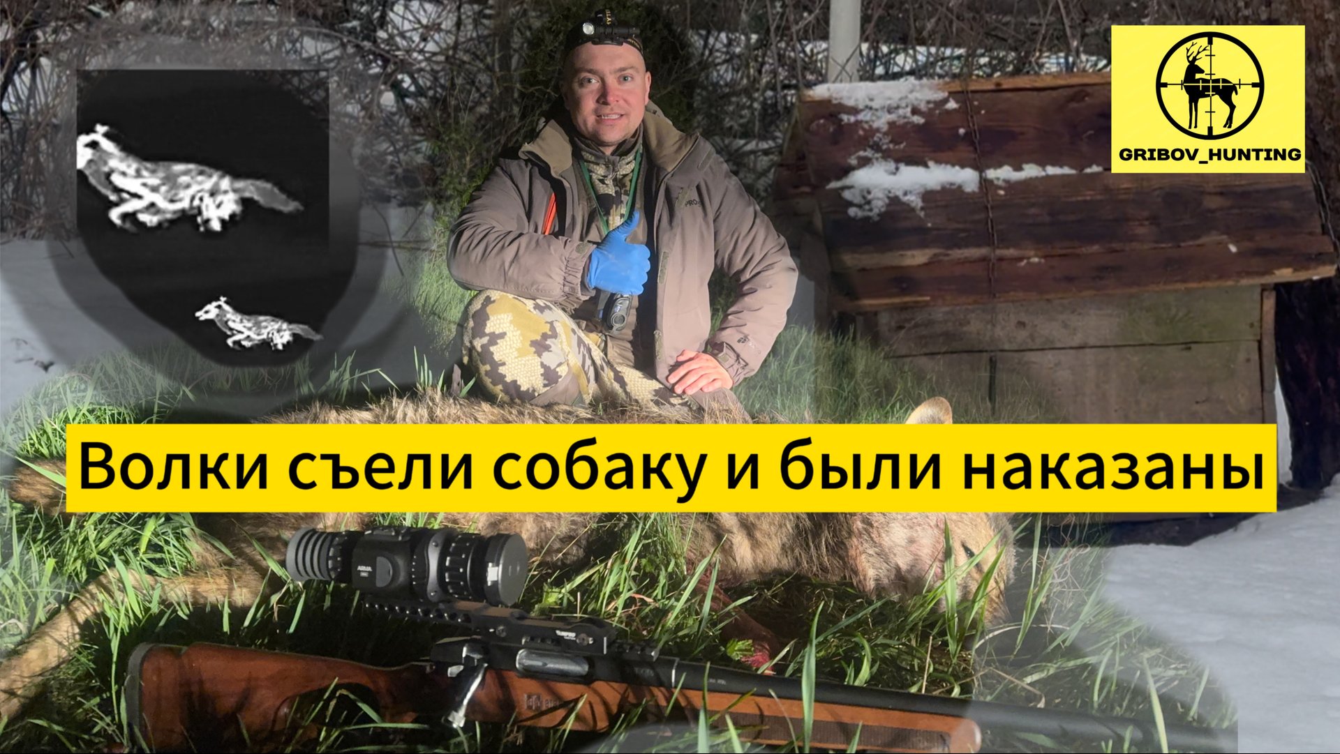 Волки съели собаку и были наказаны
