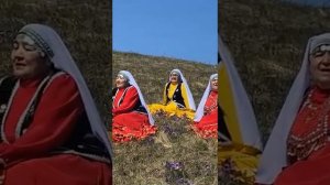 Матур йырҙар бүләк итәмен