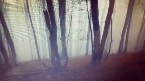 Сериал «Black blood» 11 серия 2 сезон
