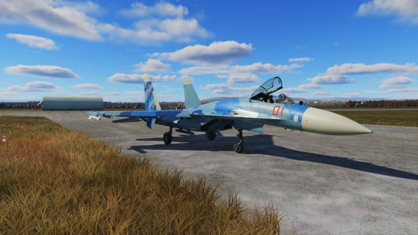 DCS World СУ-27 8 сбитых 1 потеря