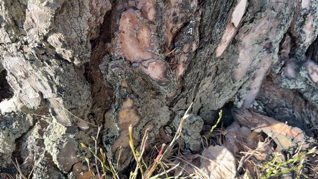 Минута № 69. Смотри и отдыхай.