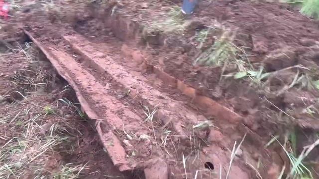 ТАКИЕ НАХОДКИ МЕНЯ УДИВЛЯЮТ!!!