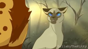 Коты Воители| Прощание Саши/ русская озвучка/(видео не моё)