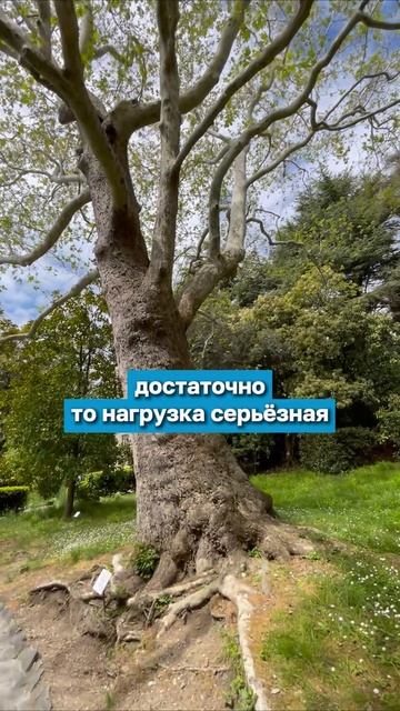 Фитнес-тур в Крыму — отдельный вид спортивного искусства