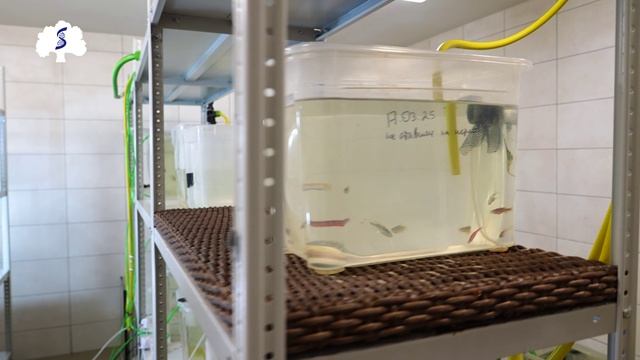 Чем занимаются студенты в СНК «Экспериментальная фармакологи смотреть онлайн