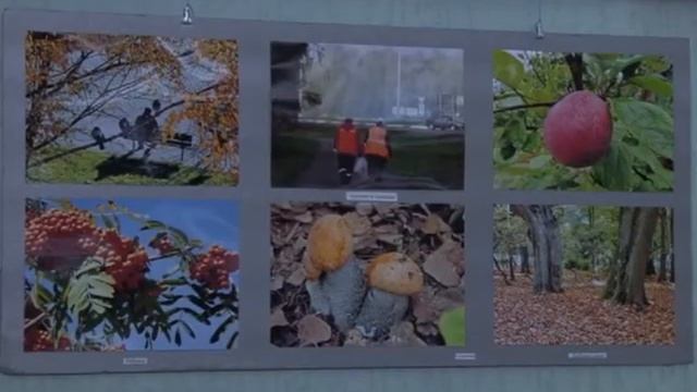 Выставка Анатолия Барончика смотреть онлайн