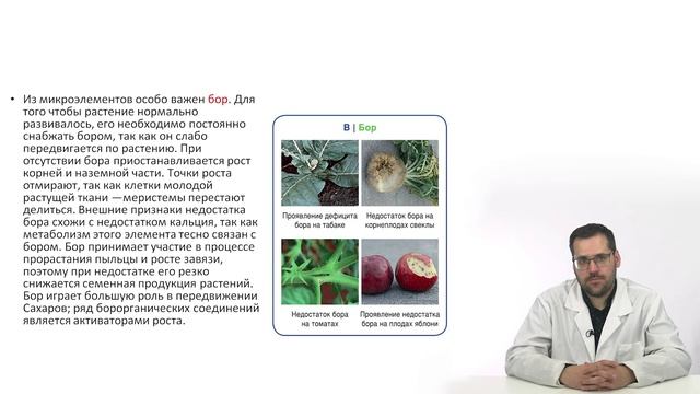 3.1.  Часть 1. Изучение вопросов агрохимии с учетом с учетом региональных особенностей