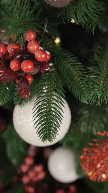 Финская премиум 120 см