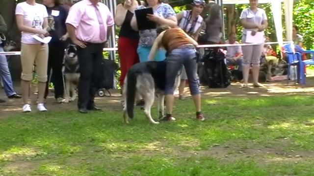 MOV053 Королева Воинов смотреть онлайн