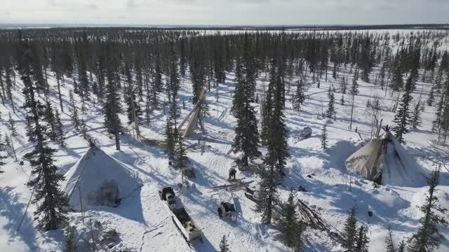 Arctic Nomads Survive The Cold In The Tundra. Their Homes Are Unique! Russia
