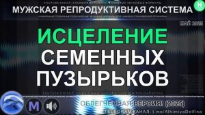 ЕСТЕСТВЕННОЕ ВОССТАНОВЛЕНИЕ семенных пузырьков Мощный САБЛИМИНАЛ-сеанс Мужское Здоровье.mp