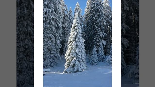 снег за окном смотреть онлайн