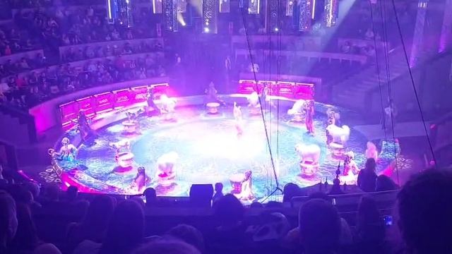 Annat цирк смотреть онлайн