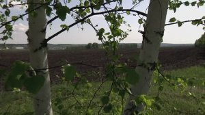 "  Матушка земля  ...  "     Музыкальная шкатулка