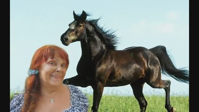 Лидия Майорова - Четыре коня. Coverversion