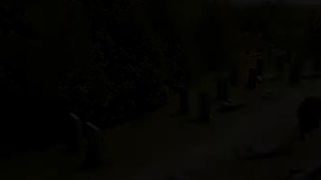 Саван (2024) . Фантастика , триллер , драма . Канада , Франция . Трейлер смотреть онлайн