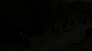 Саван (2024) . Фантастика , триллер , драма . Канада , Франция . Трейлер