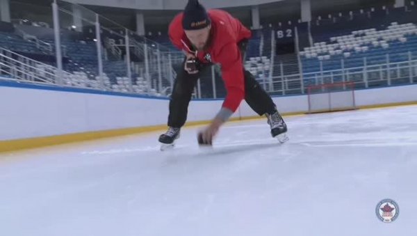 FISHKA
ХОККЕЙНЫЙ ТРЕНАЖЕР