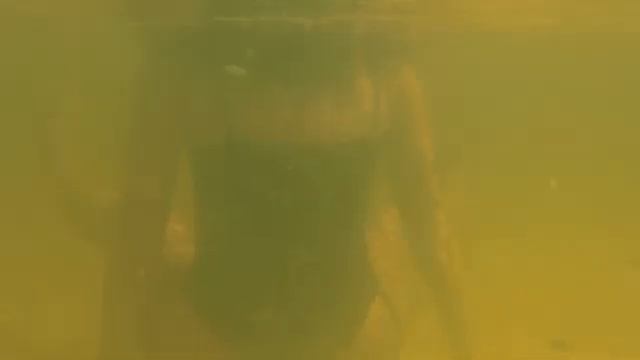 Плавание в воде смотреть онлайн