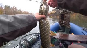 Уловистая приманка на ЩУКУ! Ловля щуки осенью на спиннинг. Рыбалка.