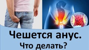 Чешется анус. Что делать?