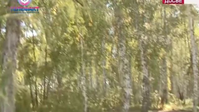 Телефакт от 22 06 2018