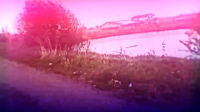 Сделал чисто по приколу смотреть онлайн