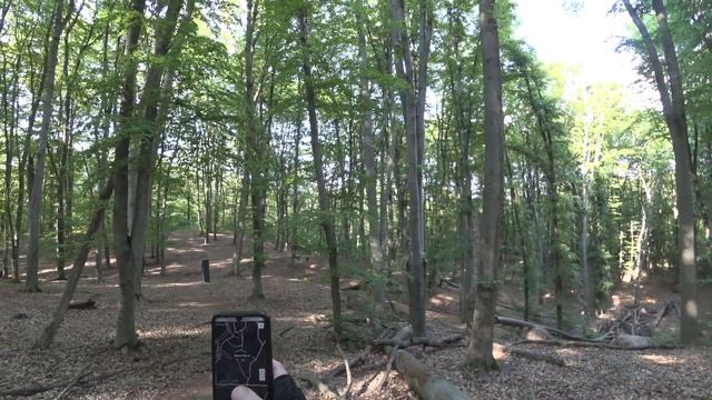 Прогулки по Киеву. Прогулка в Голосеево. Высота 194.1 - высшая точка Киева. 14 мая