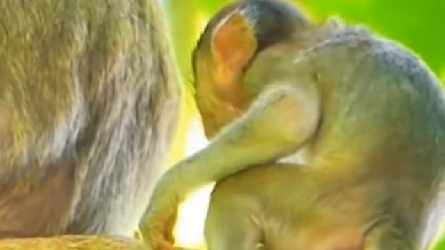 Трудно смотреть.. 000003771.mp4 смотреть онлайн