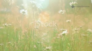 Удивительные факты о природе