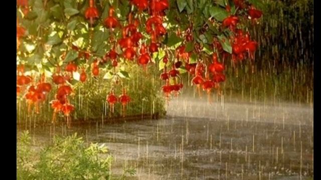 Это Днепр , детка ) Прогулка с Дождем год спустя . Зарисовка . смотреть онлайн