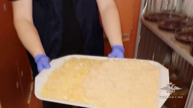 В Нижегородской области полицейские пресекли деятельность подпольной нарколаборатории смотреть онлайн