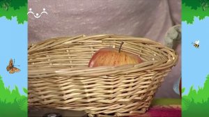 Утро в Шишкином Лесу. Физкультура для ума. 08