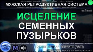 🌿 ЕСТЕСТВЕННОЕ ВОССТАНОВЛЕНИЕ семенных пузырьков: Мощный САБЛИМИНАЛ-сеанс 💪 Мужское Здоровье