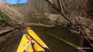 Скитулец 2025 Первое место К2М