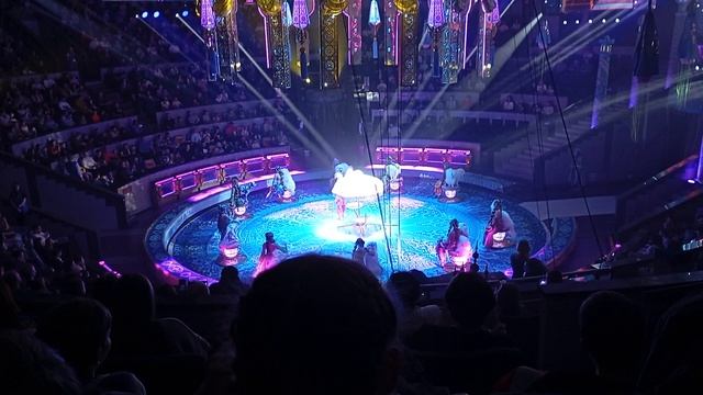 1000013232.mp4 смотреть онлайн