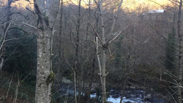 Мтирала IMG 0095